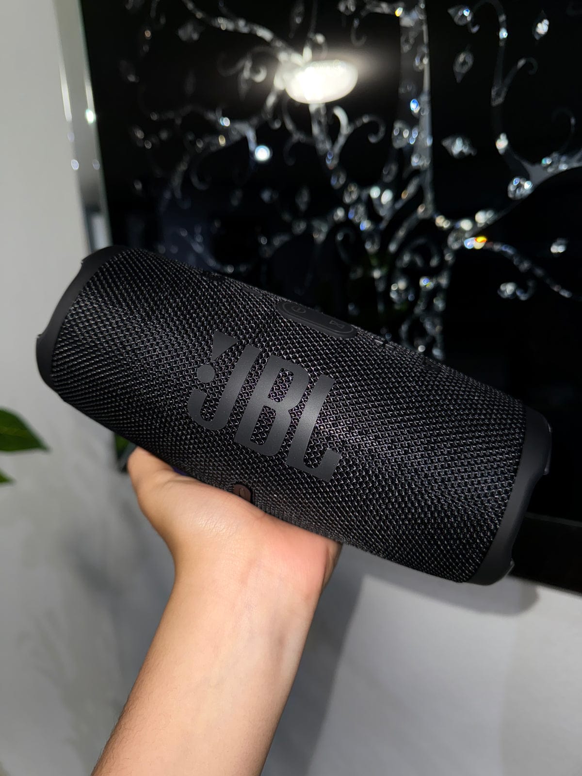 JBL Flip 6
